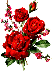 Click to view the Image